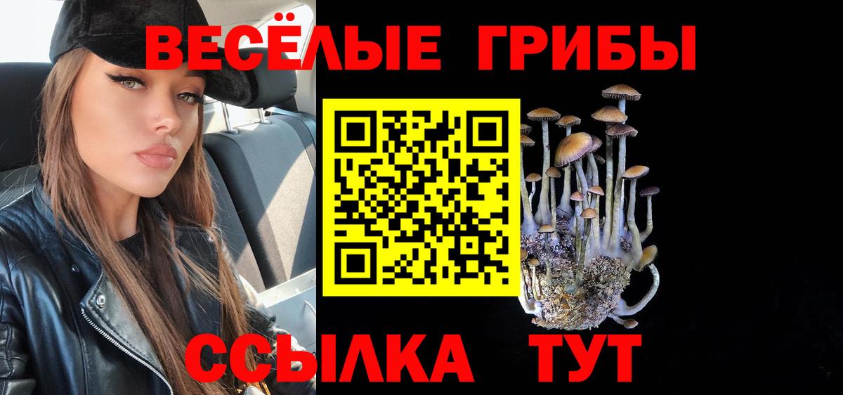Галлюциногенные грибы мухоморы Нальчик
