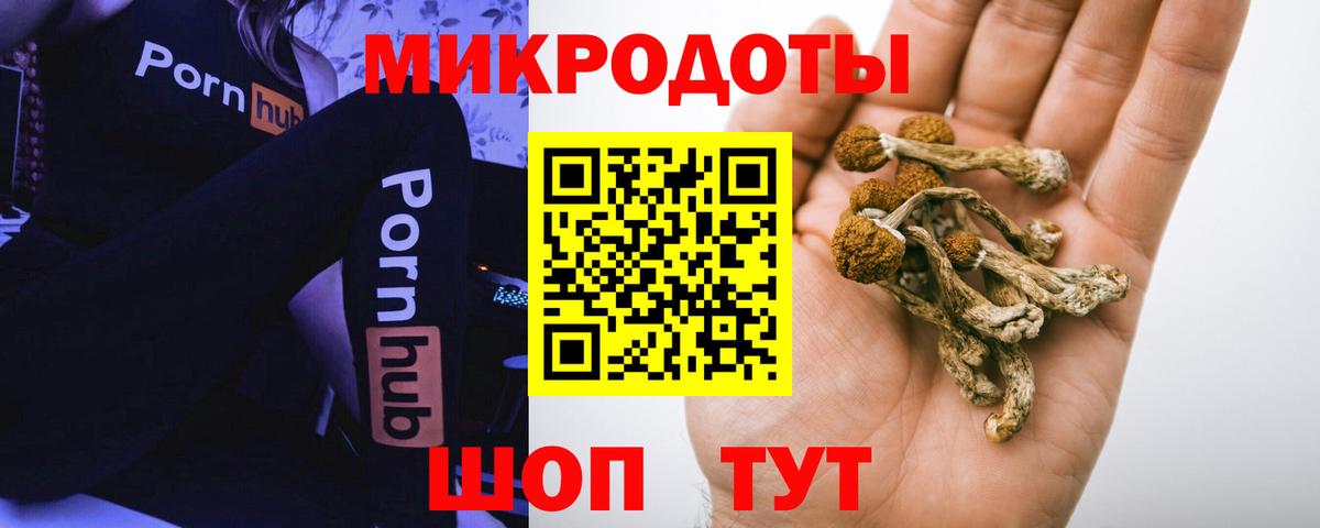 Нальчик  Псилоцибиновые грибы Magic Shrooms  купить  сайты  Вход с VPN 